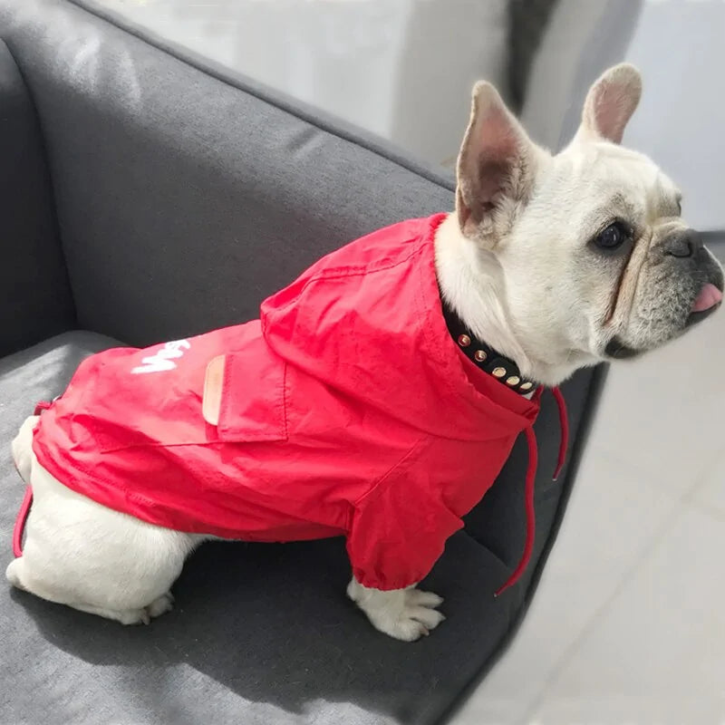 Small Stylish Dog Jackets